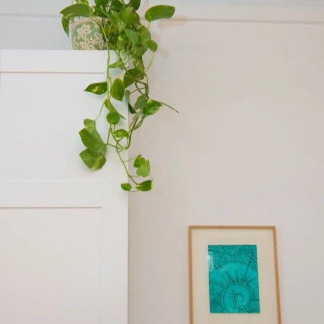 Psicologa Alice Piro - studio