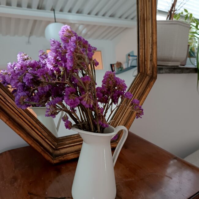 Psicologa Alice Piro - studio